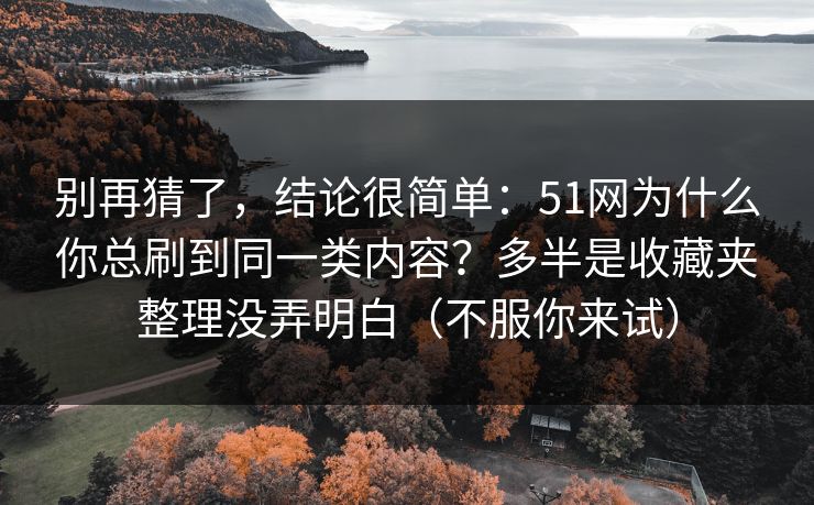 别再猜了，结论很简单：51网为什么你总刷到同一类内容？多半是收藏夹整理没弄明白（不服你来试）