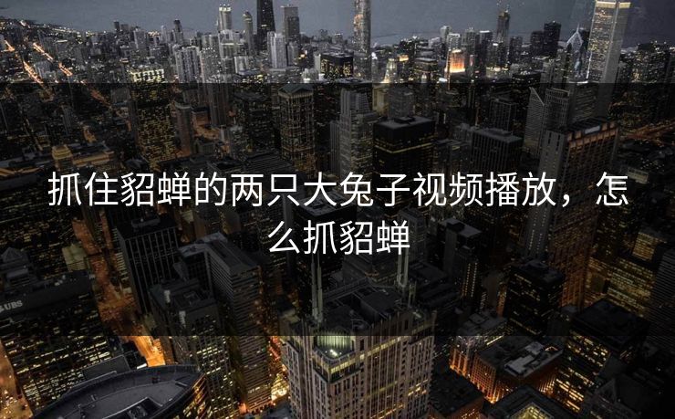 抓住貂蝉的两只大兔子视频播放,怎么抓貂蝉 抓住貂蝉的两只大兔子视频播放,怎么抓貂蝉