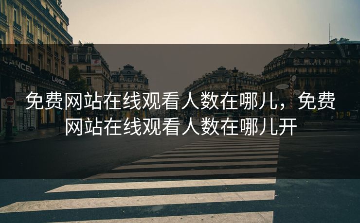 免费网站在线观看人数在哪儿，免费网站在线观看人数在哪儿开