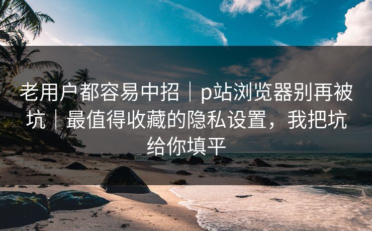 老用户都容易中招｜p站浏览器别再被坑｜最值得收藏的隐私设置，我把坑给你填平